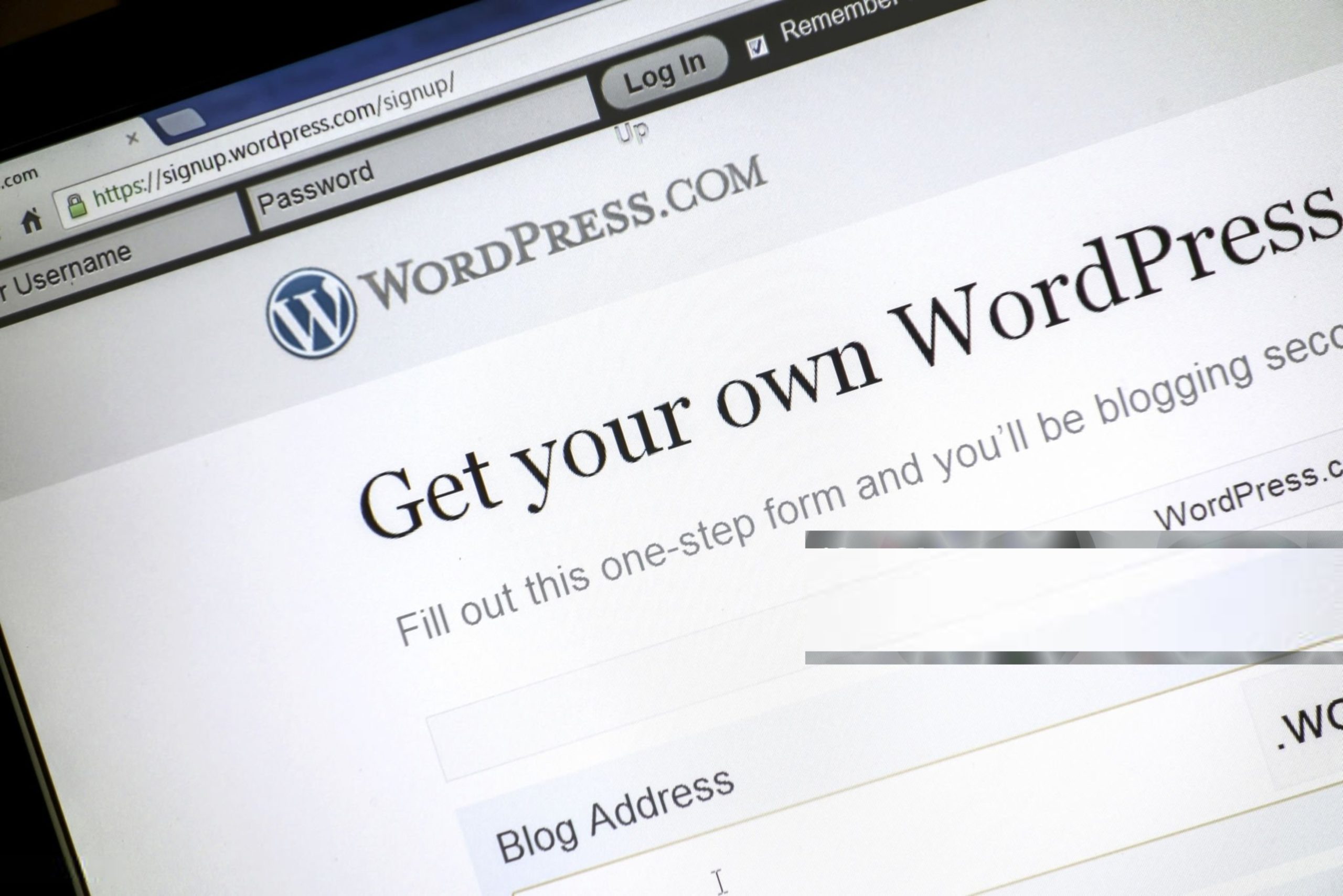 مقایسه وردپرس در مقابل کدنویسی اختصاصی